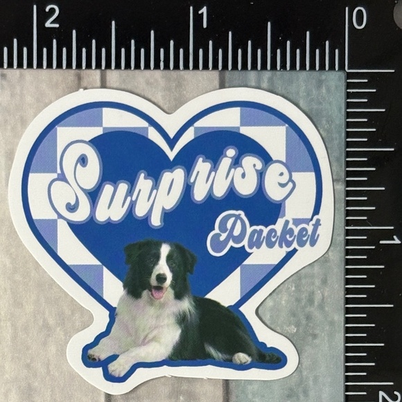 🌀10/$10🌀 Retro Pet Reusable Waterproof Vinyl Sticker Decal - Picture 1 of 1
